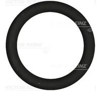 Guarnizione collettore aspirazione 40-76919-00 VICTOR REINZ per PEUGEOT FORD