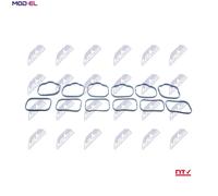 NTY BKS-CH-004B Guarnizione, Collettore aspirazione