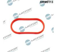 Guarnizione collettore aspirazione DRM0113 Dr.Motor Automotive per BMW 3 Coupé 5