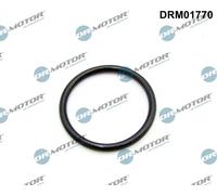 Guarnizione collettore aspirazione DRM01770 Dr.Motor Automotive per PEUGEOT FORD