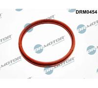 Guarnizione collettore aspirazione DRM0454 Dr.Motor Automotive per FORD