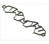 Guarnizione, Collettore aspirazione ELRING 504.260 per ASTRA J (P10) 1.6 2009-