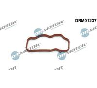 DR.MOTOR AUTOMOTIVE DRM01237 Guarnizione Collettore aspirazione