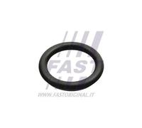 Guarnizione collettore aspirazione Entrata FT49426 FAST per FORD PEUGEOT CITROËN