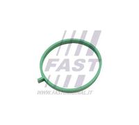 Guarnizione collettore aspirazione FT49472 FAST per OPEL FIAT