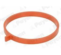 Guarnizione collettore aspirazione Gomma JD6186 PAYEN