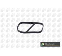 Guarnizione collettore aspirazione MG3737 BGA per FIAT PEUGEOT OPEL ALFA ROMEO