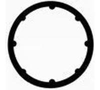 Guarnizione collettore aspirazione MG8570 BGA per RENAULT CLIO II KANGOO Express