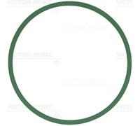 Guarnizione, Collettore aspirazione per BMW 1 2 3 4 5 6 7 X3 X4