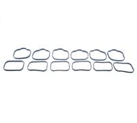 NTY BKS-CH-004B Guarnizione, Collettore aspirazione