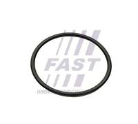 Guarnizione collettore aspirazione Uscita FT49460 FAST per RENAULT DACIA