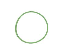 Guarnizione, collettore di aspirazione AJUSA 24038700