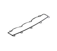 Payen Guarnizione collettore aspirazione JD5338 per IVECO FIAT UAZ Daily V 2.3 2011-