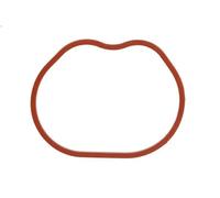 Guarnizione, collettore di aspirazione REINZ 71-35533-00 2 (DY) 1.2 2003-2007