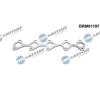 Guarnizione collettore di scarico DRM01197 Dr.Motor Automotive per FORD CITROËN