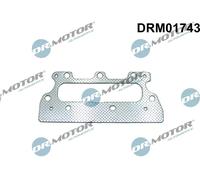 Guarnizione collettore di scarico DRM01743 Dr.Motor Automotive per RENAULT DACIA