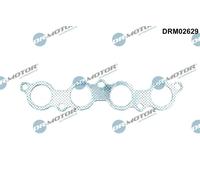 DR.MOTOR AUTOMOTIVE DRM02629 Guarnizione collettore scarico