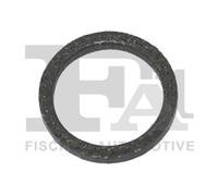 Guarnizione, Collettore gas scarico per BMW 1 2 3 4 5 6 7 X3 X4 X5 X6