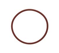 Guarnizione Compatibile Con Saeco 140322962 o-Ring 73mmø Elemento Riscaldante
