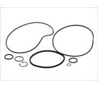 Guarnizione, compressore condizionatore SANTECH MT2119