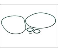 Guarnizione, compressore per aria condizionata SANTECH MT2117