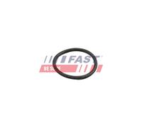 Guarnizione sistema climatizzazione FT49918 FAST per MERCEDES-BENZ CLASSE S EQA