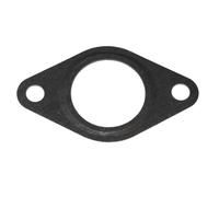 Guarnizione, condotto valvola EGR ELRING 300.421