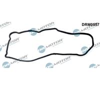 Guarnizione, Coperchio carter distribuzione per NISSAN CABSTAR NAVARA NP300