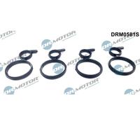 Guarnizione, coperchio di chiusura albero a camme per BMW 1 2 3 4 5 6 7 X1 X2 X3