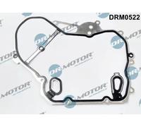 DR.MOTOR AUTOMOTIVE Guarnizione, Coperchio carter