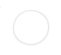 Guarnizione, coperchio monoblocco (carter) OE CNH 1286076C1-CNH