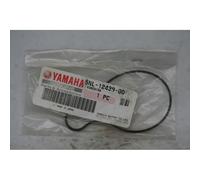 Guarnizione coperchio pompa acqua 2x70mm Water pump cover gasket Yamaha WR250F
