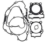 Guarnizione coperchio statore motore Kit Completo Guarnizioni Revisione Testata Cilindro Per Motocicletta Per Benelli TNT250 BJ250 BN251 2016-2019 Per Leoncino TRK 250(Inspection mat)