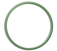 Guarnizione coperchio temporizzazione