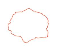 Guarnizione, coperchio testa cilindro REINZ 71-38172-00 sinistro