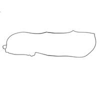 Guarnizione, coperchio testata ELRING 603.480 per ANTOS 12.809 2012-2018