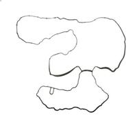 Guarnizione, coperchio testata ELRING 724.470 per BMW 1 (E81) 2 2006-2011