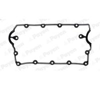 Guarnizione, coperchio testata PAYEN JM5120 per AUDI A3 (8L1) 1.9 2000-2003