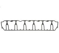 Guarnizione, coperchio testata REINZ 71-37036-00 MAZ Serie 100 7.146 1996-