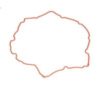 Guarnizione, coperchio testata REINZ 71-38172-00 per VECTRA C (Z02) 2.8 2006-