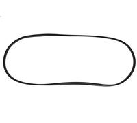 Guarnizione, coperchio testata REINZ 71-82891-00 per IVECO ZETA 3.666 1979-1982