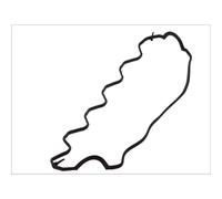 Guarnizione, Copritestata compatibile con AUDI SEAT SKODA VW CUPRA 717.480