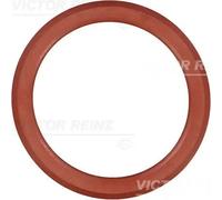 REINZ 71-38552-00 Guarnizione, Copritestata