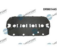 Guarnizione coperchio valvole DRM01445 Dr.Motor Automotive per ROVER LAND ROVER
