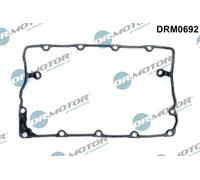 DR.MOTOR AUTOMOTIVE DRM0692 Guarnizione, Copritestata