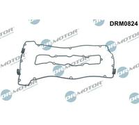DR.MOTOR AUTOMOTIVE DRM0824 Guarnizione, Copritestata