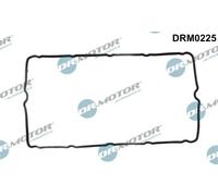 Guarnizione coperchio valvole Esterno DRM0225 Dr.Motor Automotive per FORD FIAT
