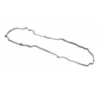PAYEN JM7026 Guarnizione, Copritestata