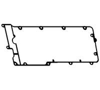 Guarnizione coperchio valvole RC7360 BGA per LAND ROVER DISCOVERY II