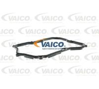 Guarnizione coppa cambio Cambio automatico a 6 marce V10-2223 VAICO per VW AUDI